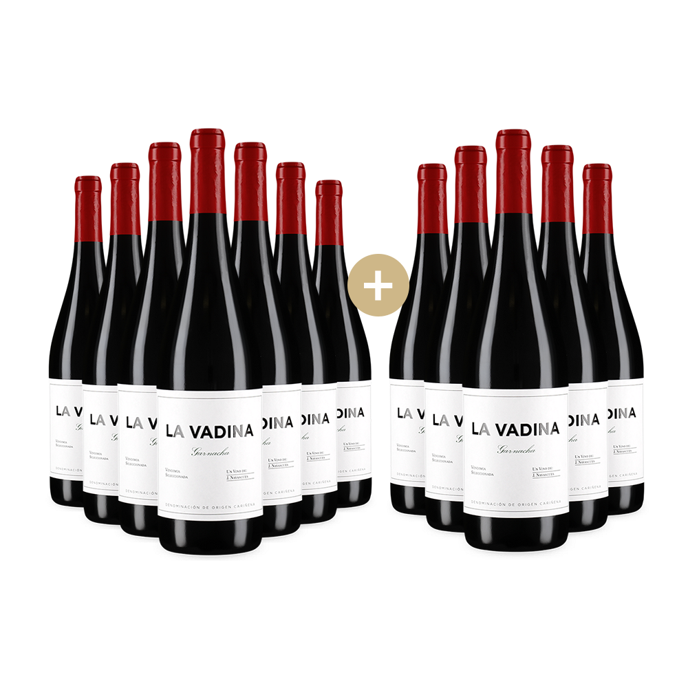 7+5 Flaschen Jorge Navascues La Vadina 2022