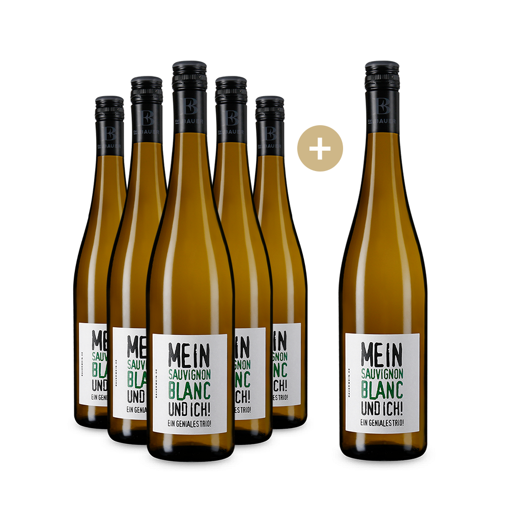 5+1 Flaschen Emil Bauer Mein Sauvignon und Ich! Ein geniales Trio! 2023