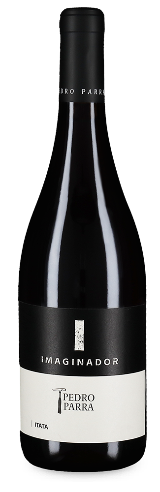 Imaginador Cinsault 2021