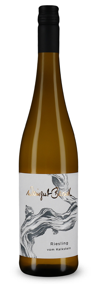 Riesling vom Kalkstein trocken 2023