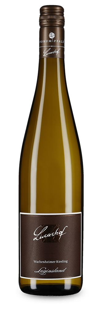 Wachenheimer Luginsland Riesling Erste Lage trocken 2023