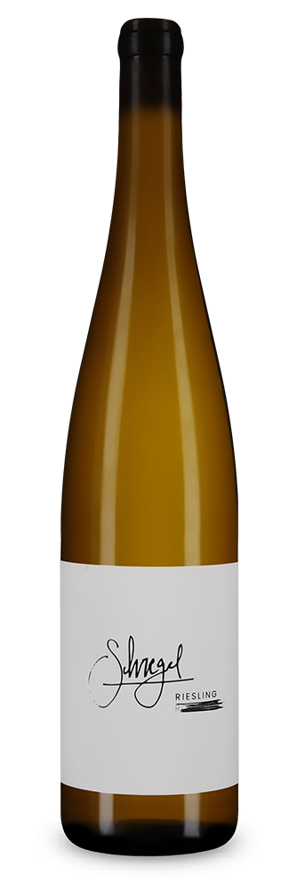 Riesling R. trocken 2023