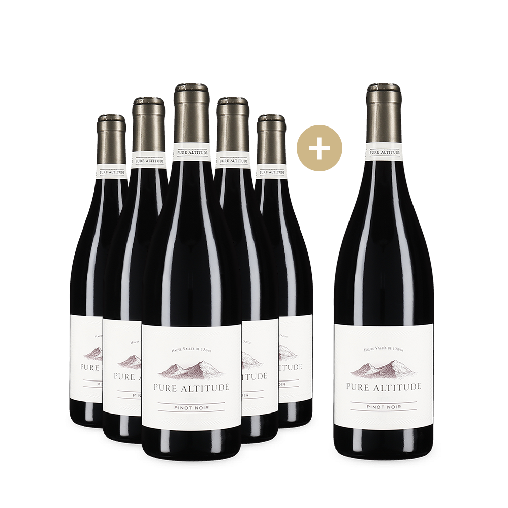 5+1-Set Pinot Noir Haute Vallée de l'Aude 2023