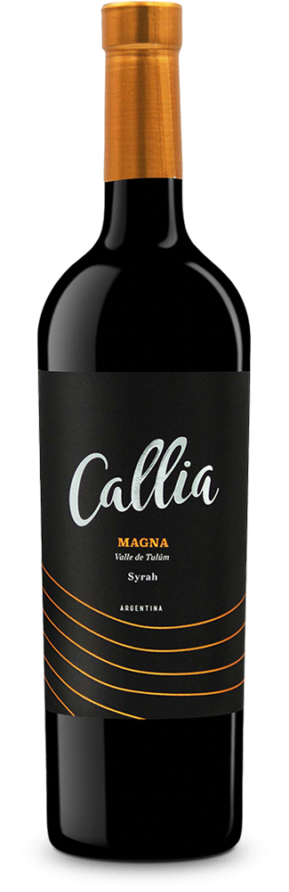 Magna Shiraz 2019