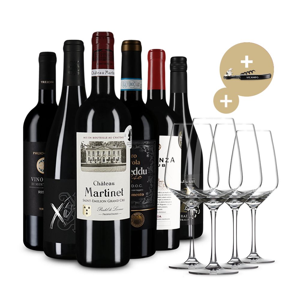 Wine in Black 50%-Saving-Set mit 4 Gläsern und Kellnermesser