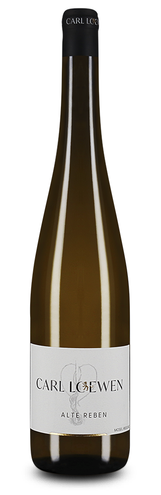 Alte Reben Riesling trocken 2024