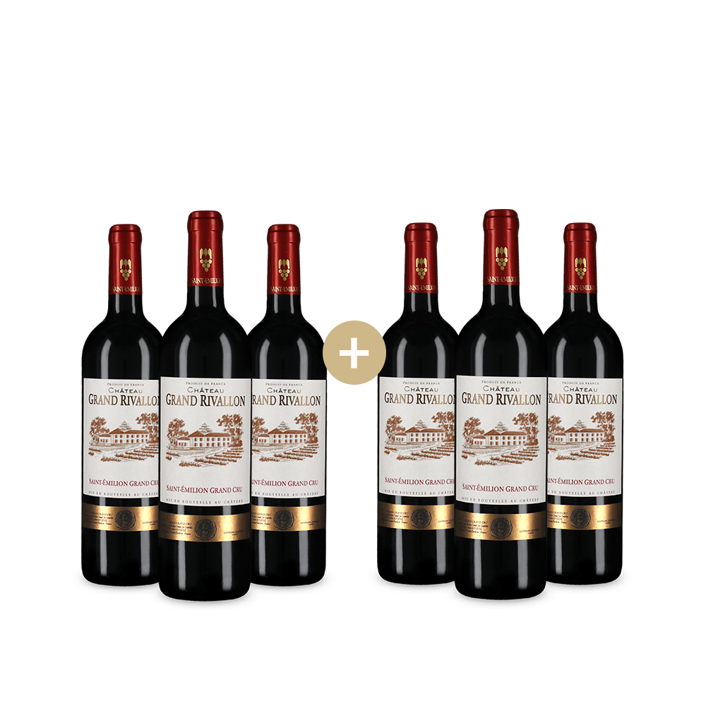 3+3 Flaschen Saint-Émilion Grand Cru 2022
