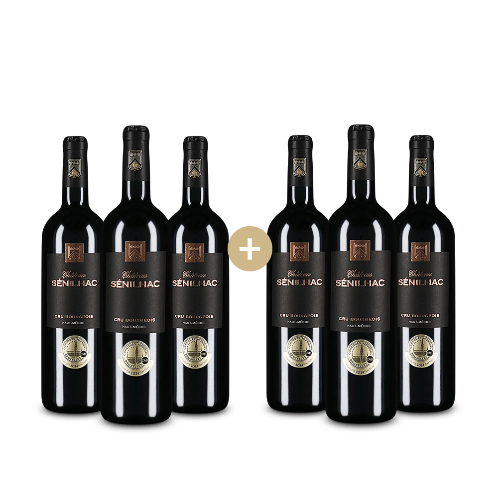 3+3 Flaschen Cru Bourgeois Haut Médoc 2021