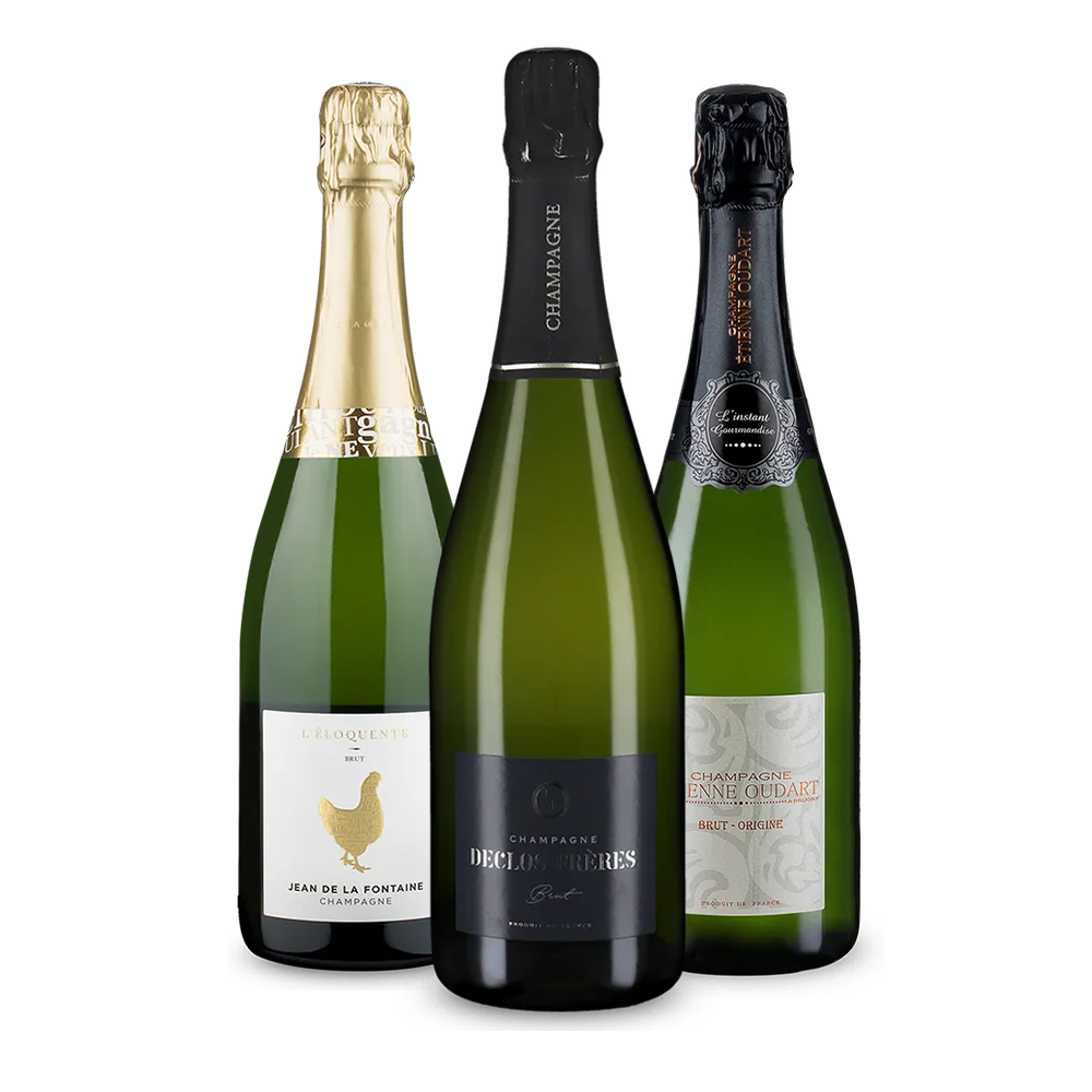 Für Entdecker: Winzer-Champagner im 3er-Set