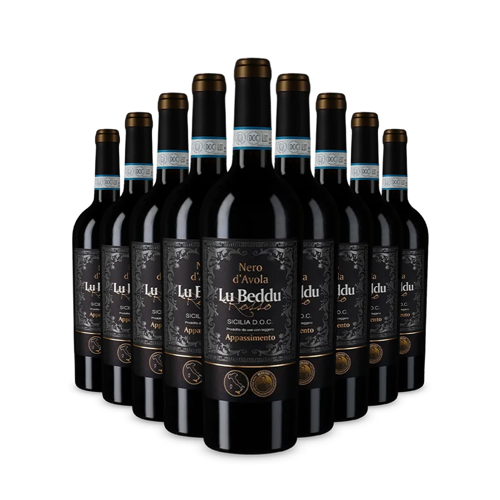 9 Flaschen Nero d’Avola Sicilia Appassimento 2022