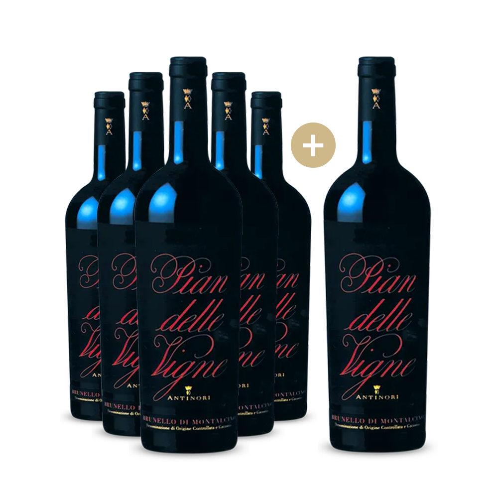 5+1 Antinori Pian delle Vigne Brunello di Montalcino 2019