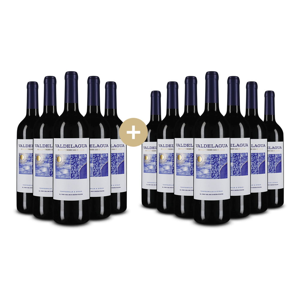 Bodegas y Vinedos Casa del Valle 5+7 zdarma: Valdelagua Tempranillo & Syrah 2024