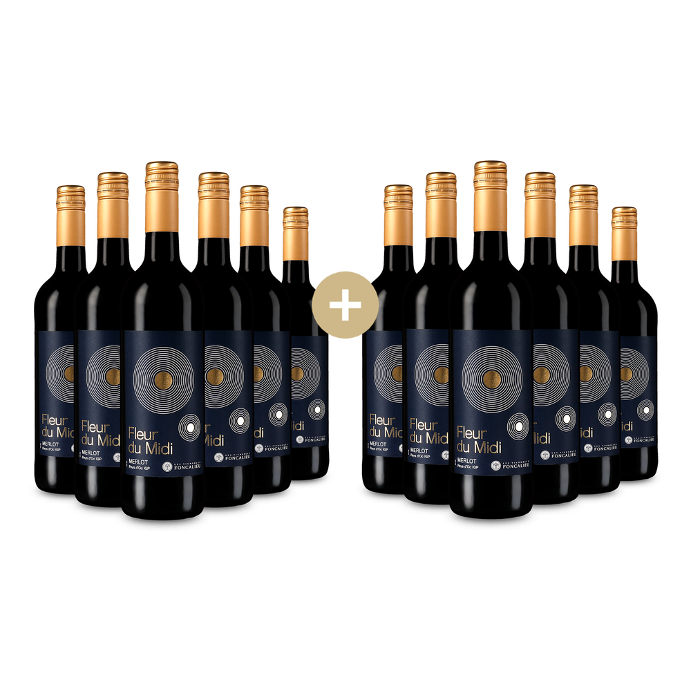 Foncalieu 6+6 zdarma: Fleur du Midi Merlot 2024