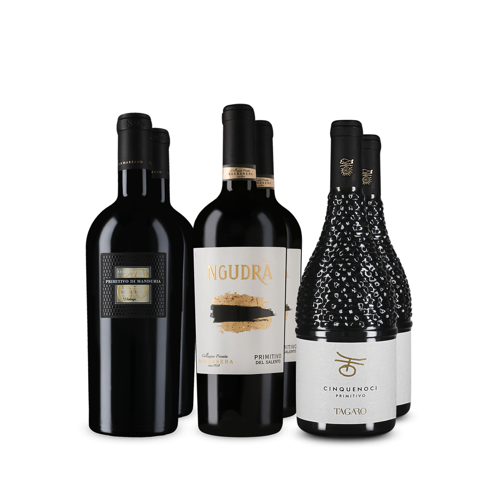 Wine in Black Premium-Primitivo-Paket