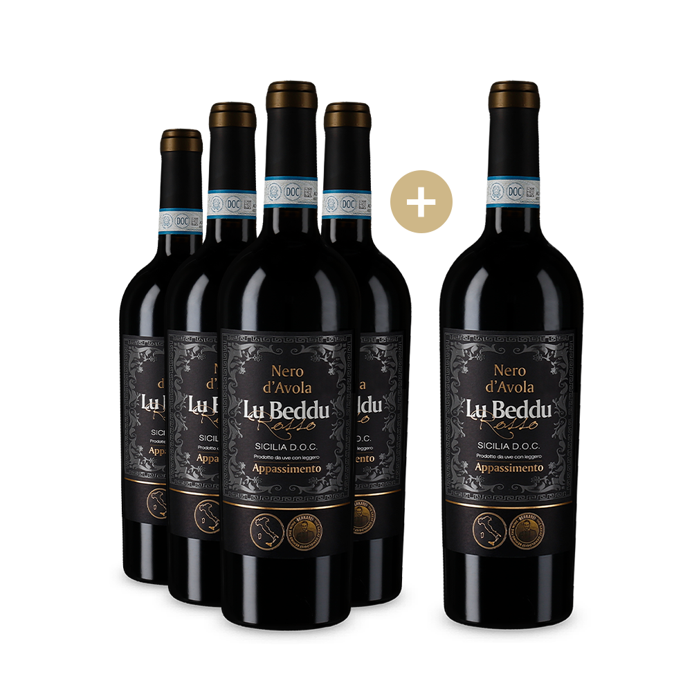 5+1 Flaschen Nero D’Avola Sicilia Appassimento 2021