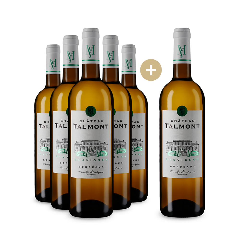 5+1 Flaschen Bordeaux Blanc 2022