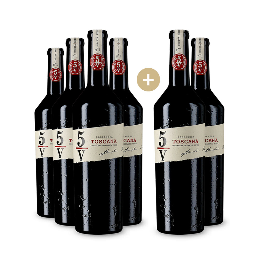 6 Flaschen 5/V Toscana Rosso