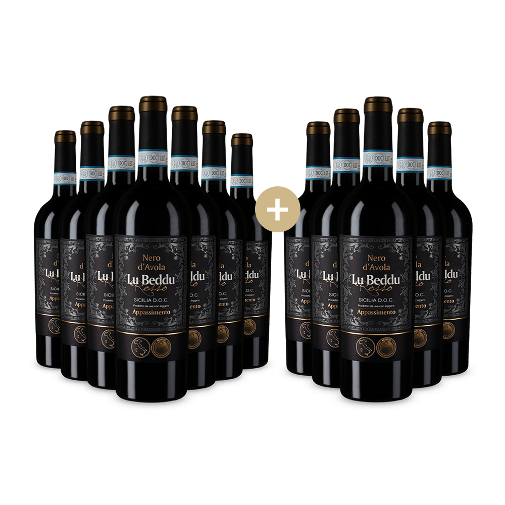 6+6 Flaschen Nero d’Avola Sicilia Appassimento 2022