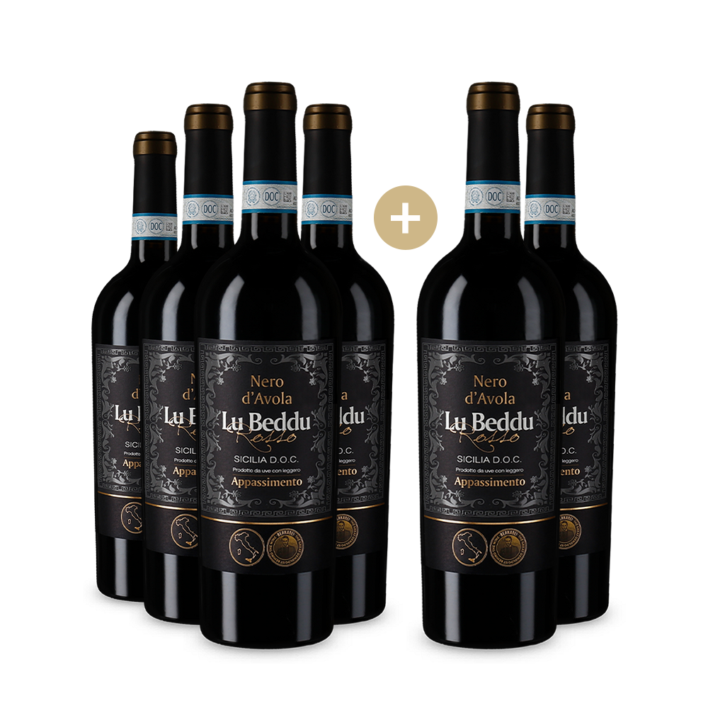 4+2 Flaschen Nero d’Avola Sicilia Appassimento 2022