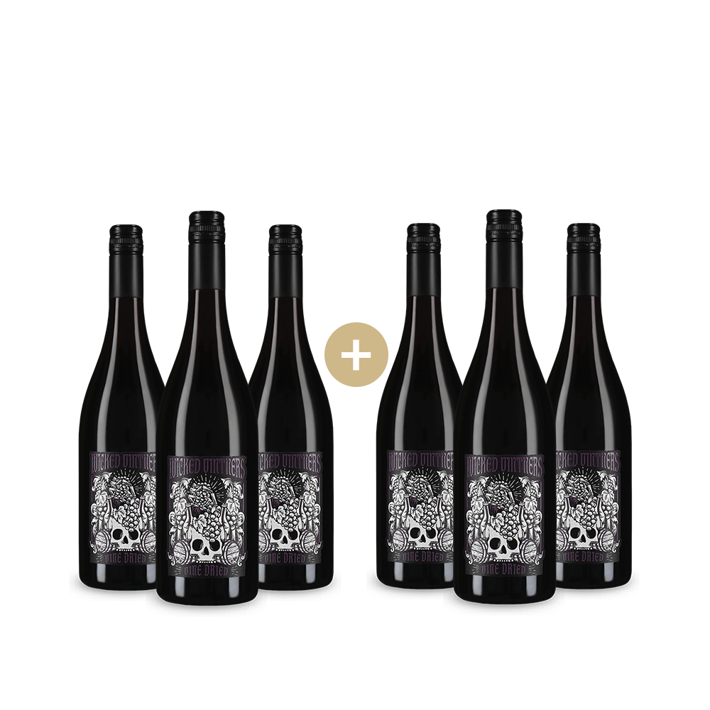 3+3 Flaschen Vine Dried Shiraz 2021