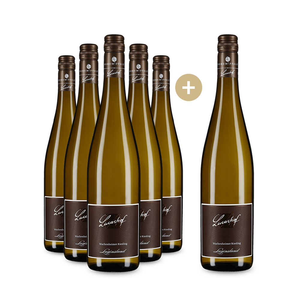5+1 Flaschen Wachenheimer Luginsland Riesling Erste Lage trocken 2022