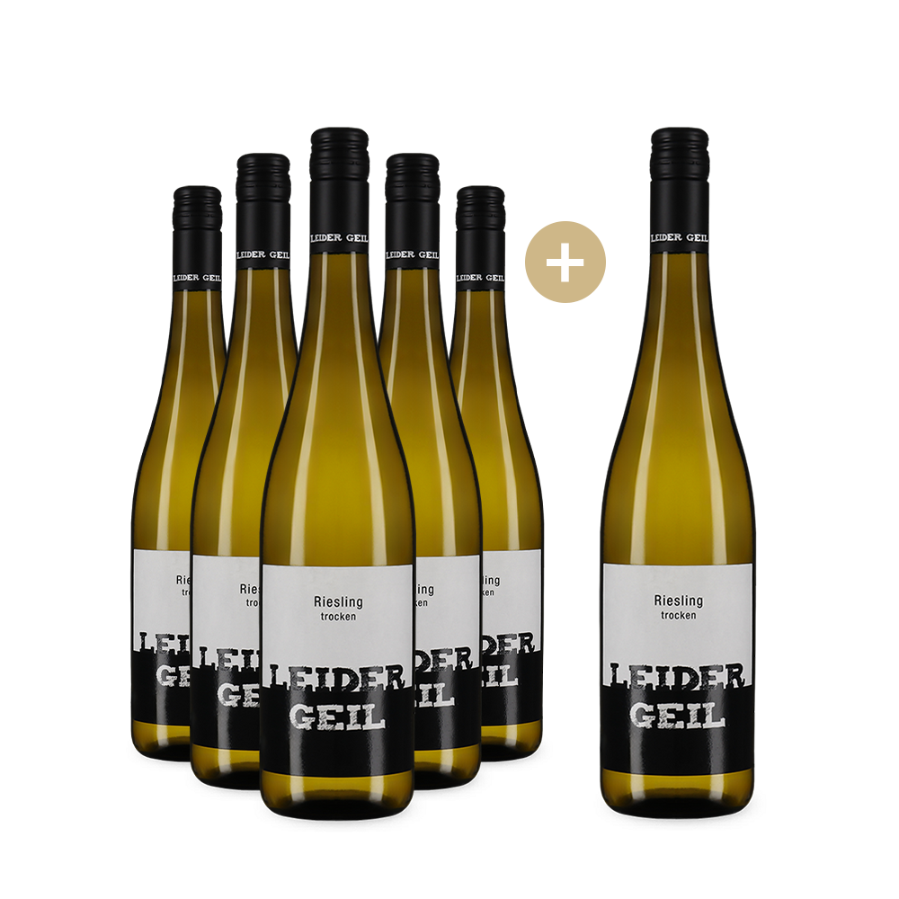 6 Flaschen Riesling trocken 2023