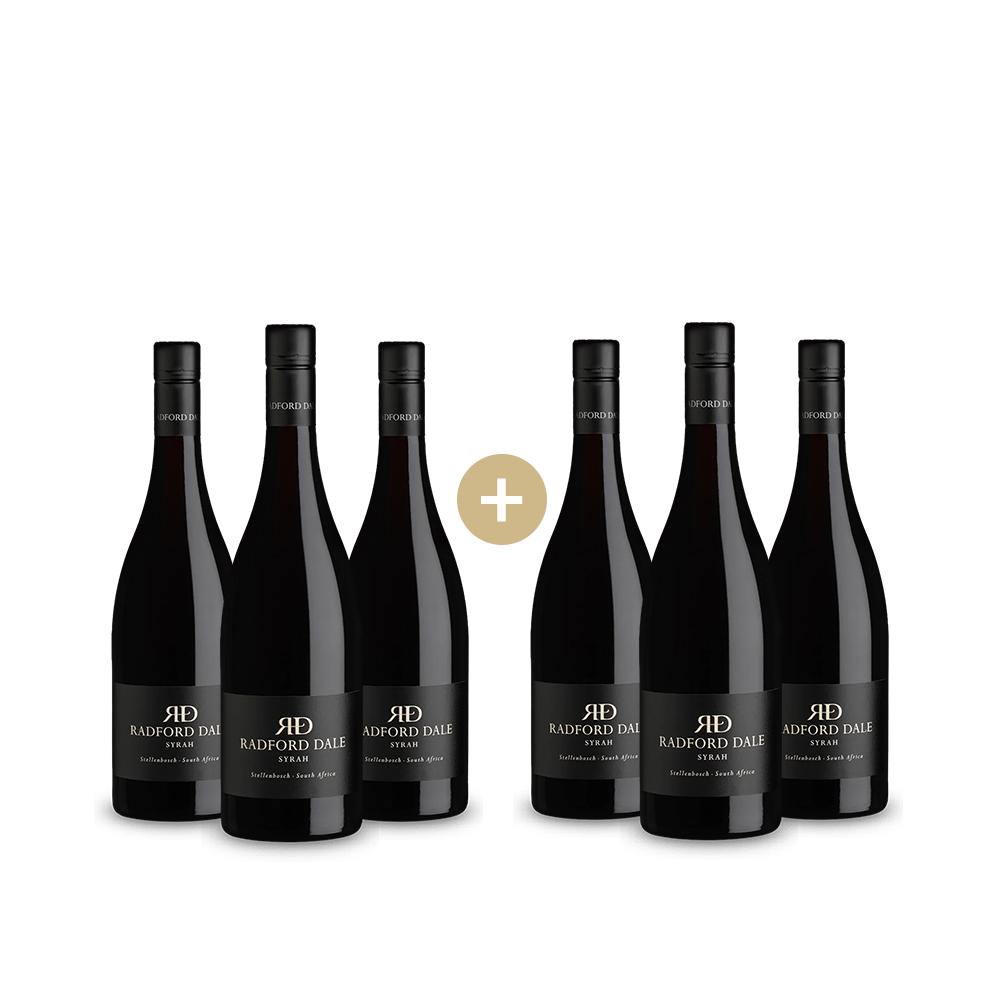 3+3 Flaschen Syrah Stellenbosch 2017