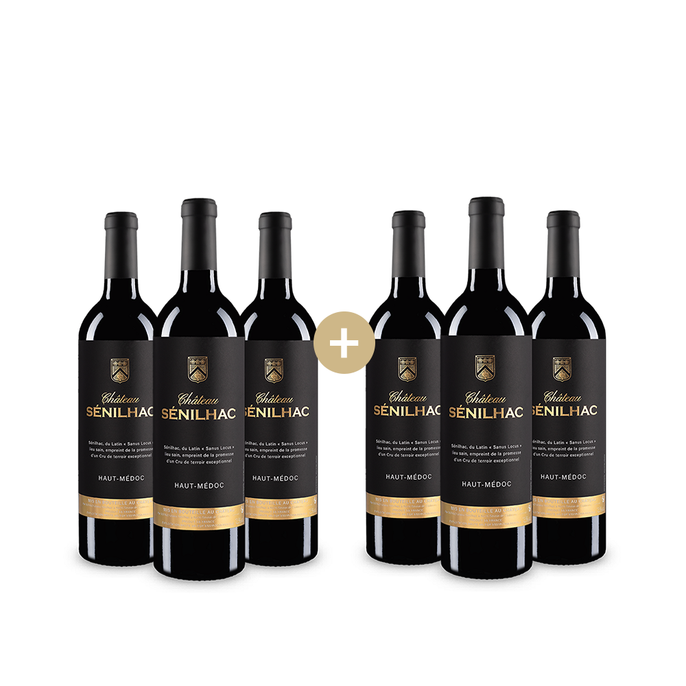 3+3 Flaschen Haut Médoc Cru Bourgeois 2016