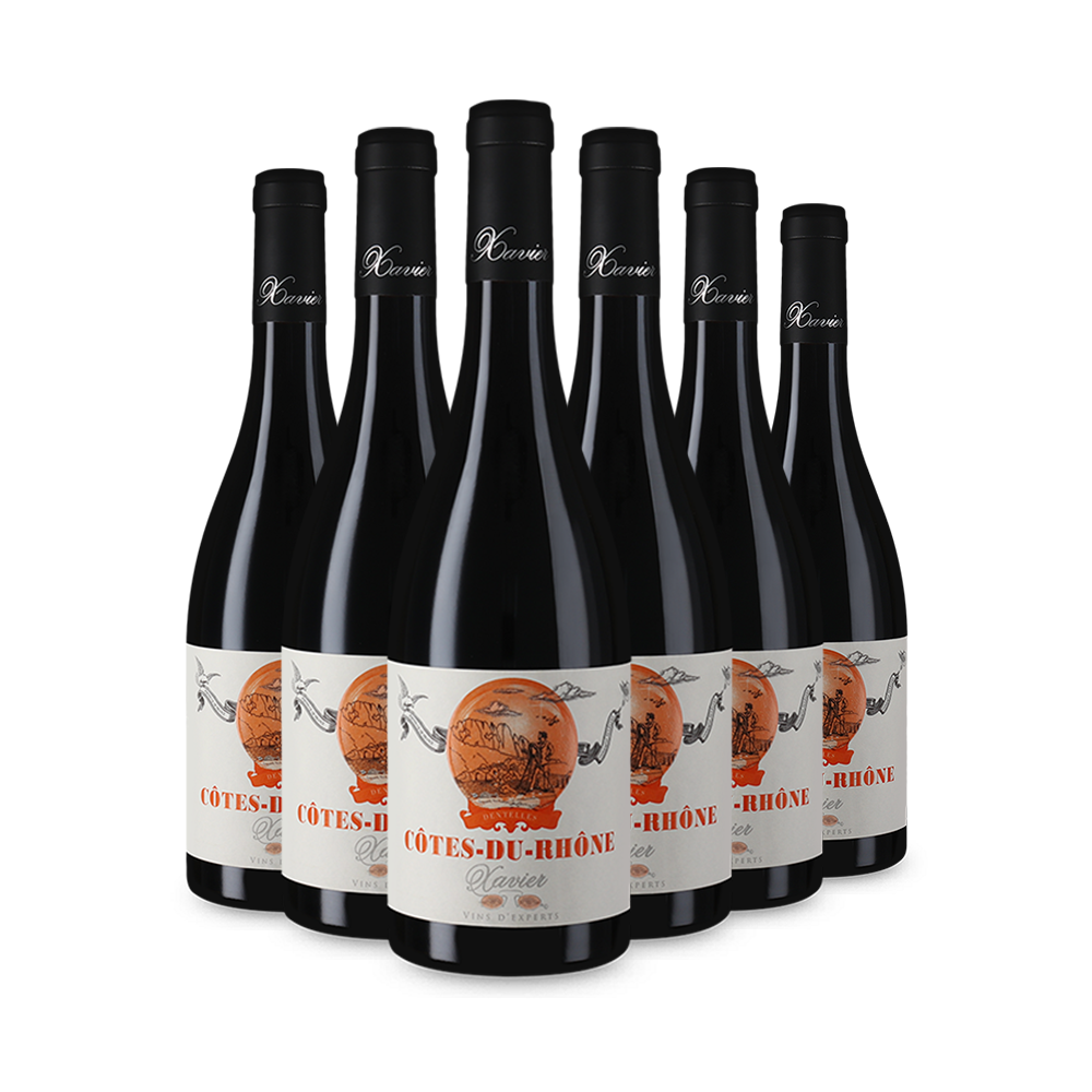 6 Flaschen Côtes-du-Rhône 2020
