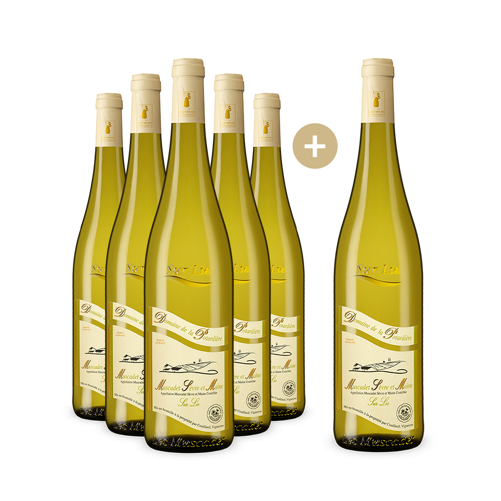 5+1 Flaschen Muscadet Sèvre et Maine sur Lie 2023