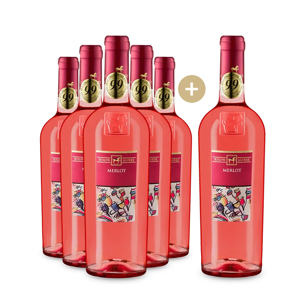 5+1 Flaschen Merlot Rosato 2024