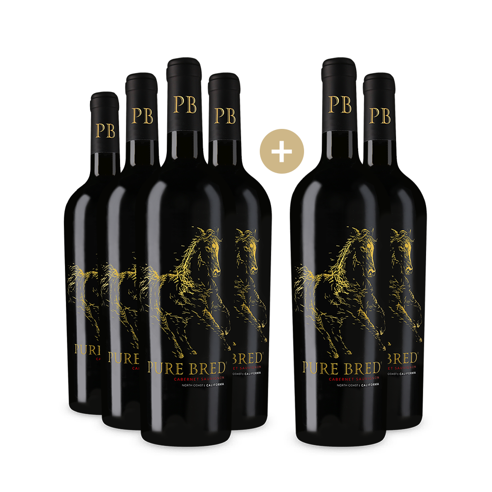 4+2 Flaschen Cabernet Sauvignon North Coast 2022