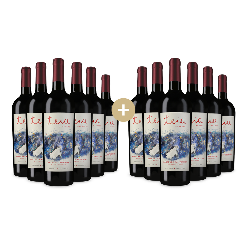6+6 gratis: Teia Mendoza Cabernet Sauvignon & Cabernet Franc 2024