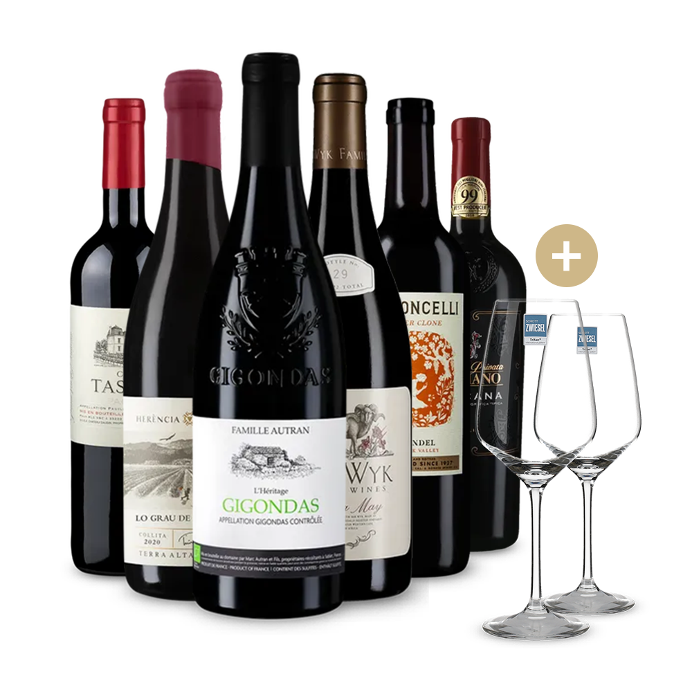 Perfekt zum Fest: 6 Rotwein-Highlights + 2 Weingläser