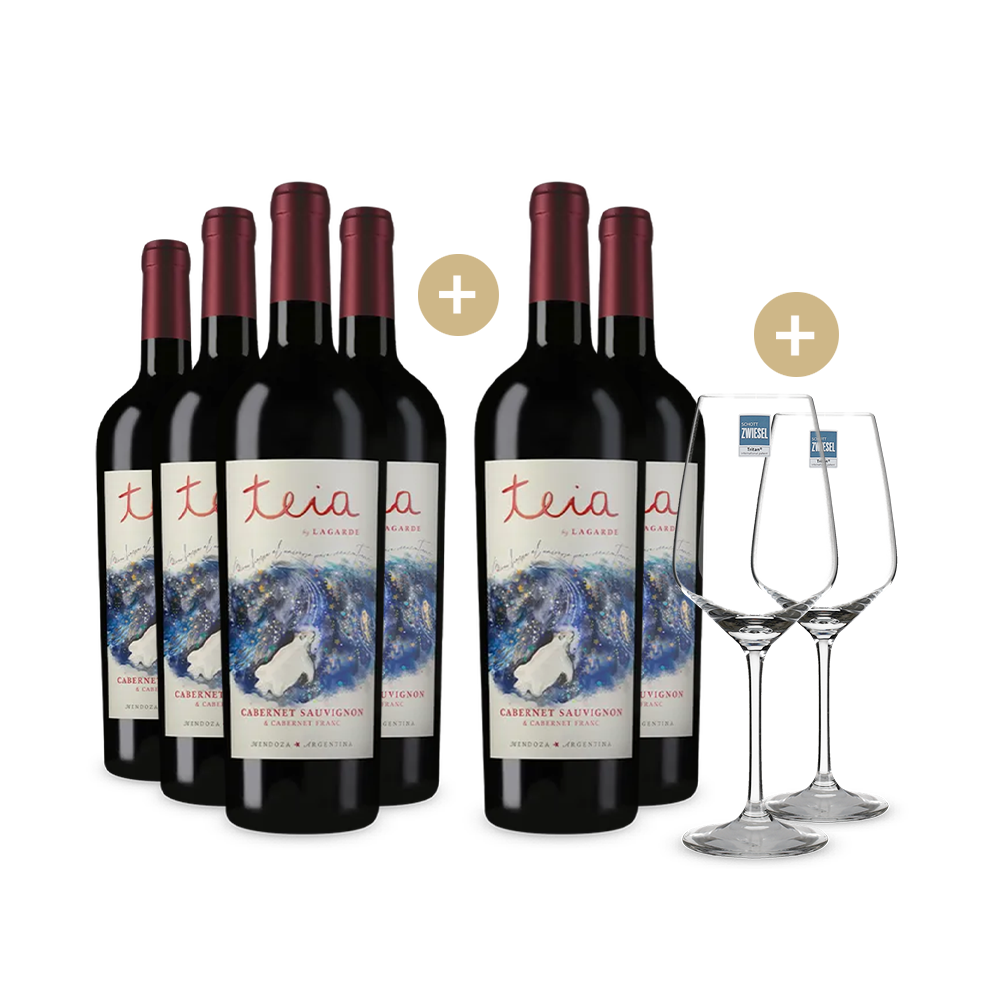 4+2 Flaschen Cabernet Sauvignon & Cabernet Franc Teia Mendoza 2023 + 2 Weingläser