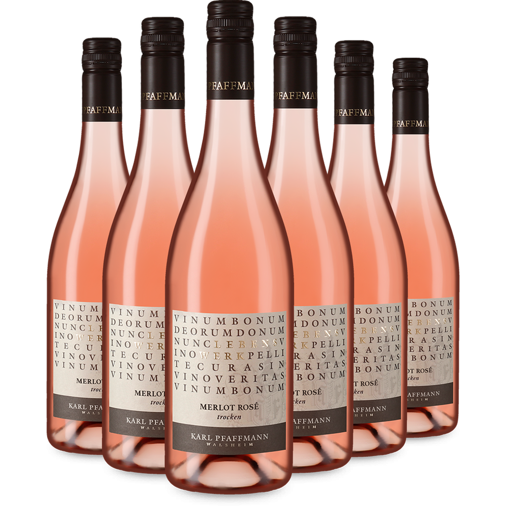 6x Lebenswerk Merlot Rosé trocken 2025