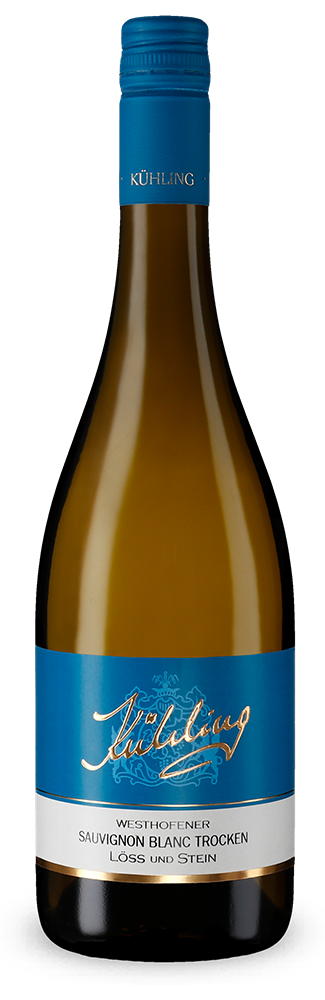 Westhofener Sauvignon Blanc Löss und Stein trocken 2025