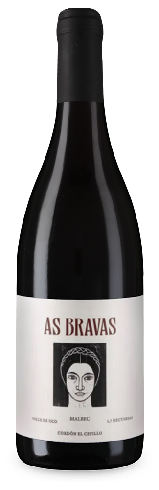El Enemigo As Bravas Malbec El Cepillo 2018