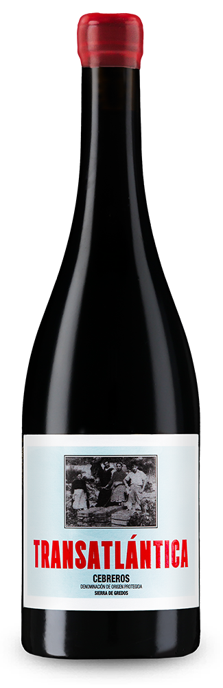 Bodegas Vaynores Transatlántica Tinto 2021