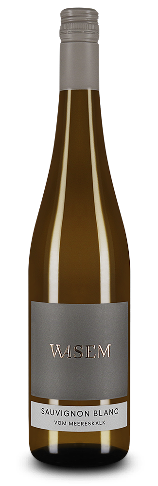 Wasem Sauvignon Blanc vom Meereskalk 2025
