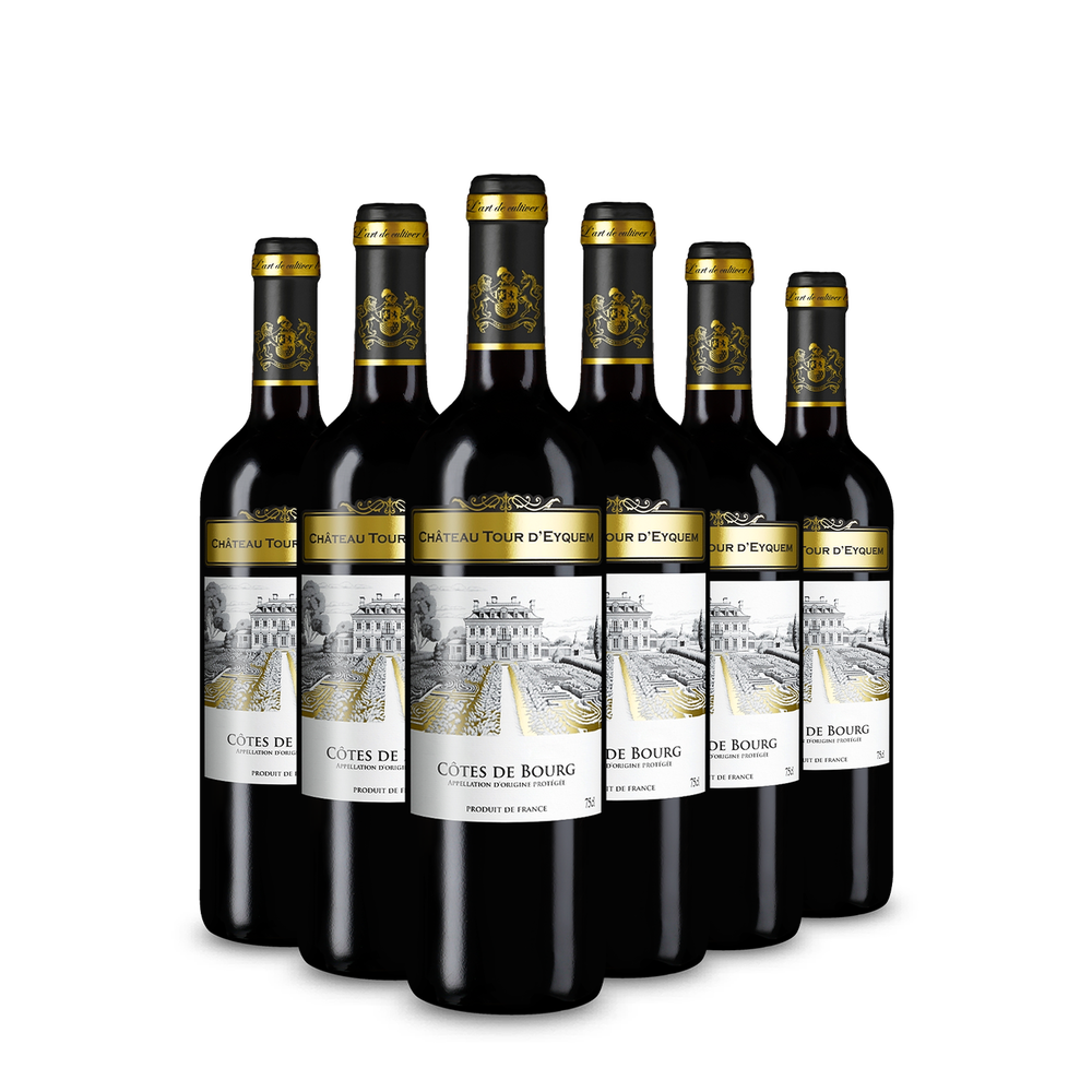 Château Tour d'Eyquem 6 lahví Côtes de Bourg 2022