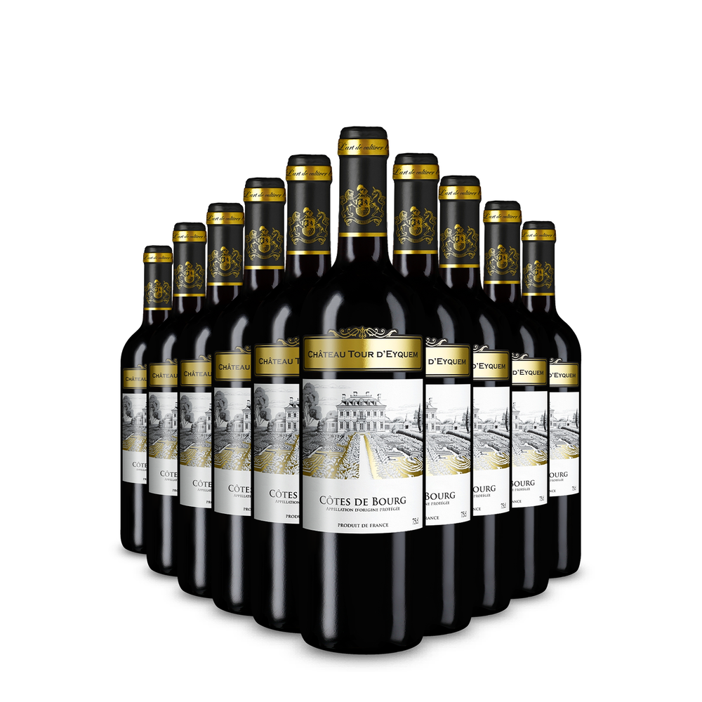 Château Tour d'Eyquem 10x Côtes de Bourg 2022