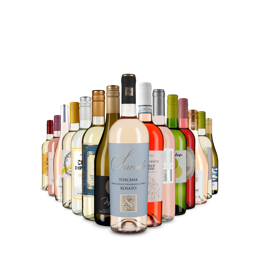 15x1 Vybraní favorité mezi bílými víny a rosé