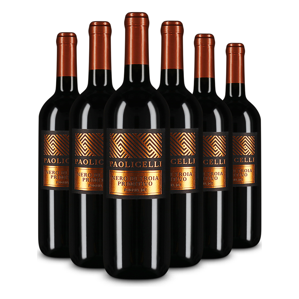 Casa Vinicola Botter 6x Paolicelli Nero di Troia Primitivo 2025