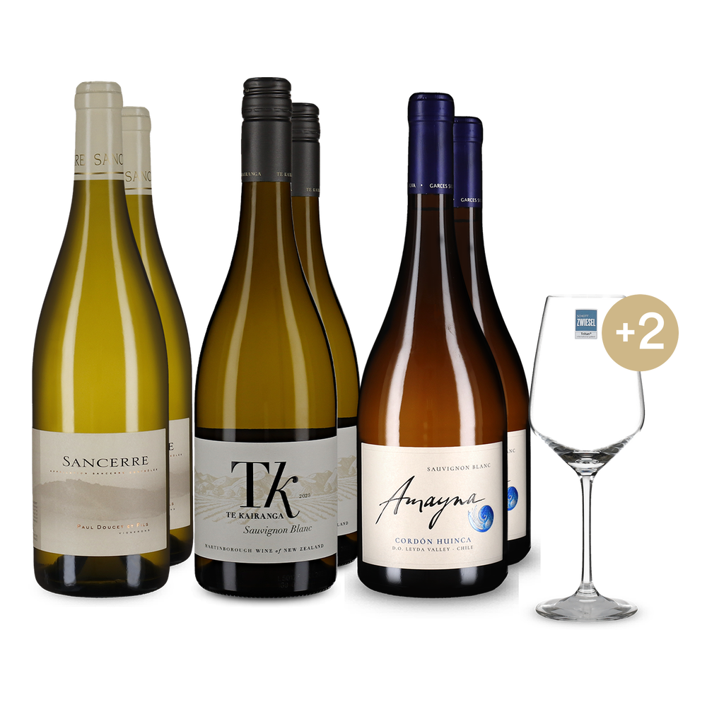 3x2 Sauvignon Blanc Premium Paket + 2 Weingläser