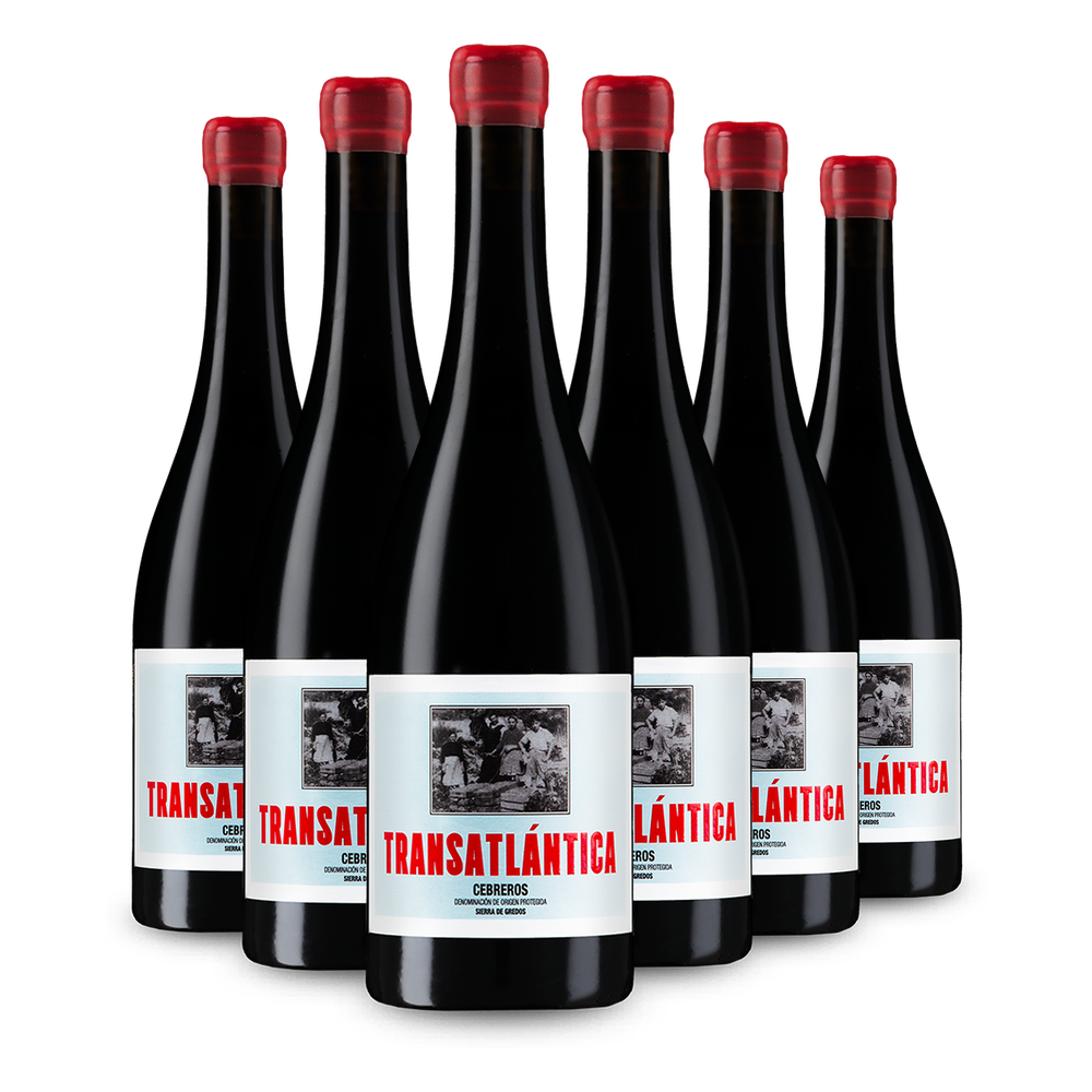 6x Transatlántica Tinto 2021